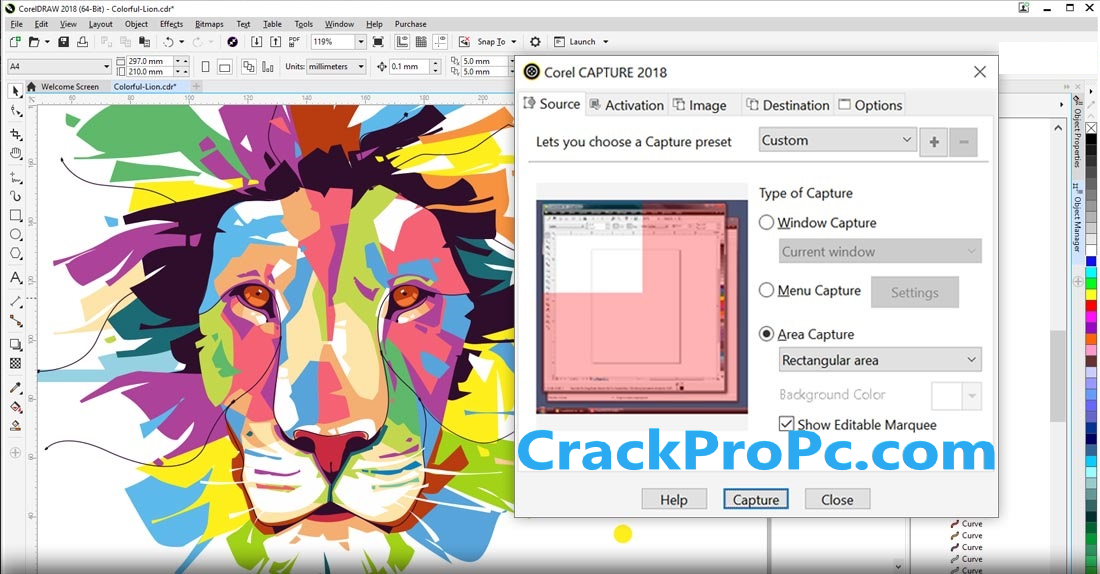 An Image of CorelDRAW Crack Download