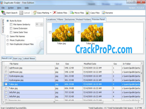 duplicate file fixer license key free