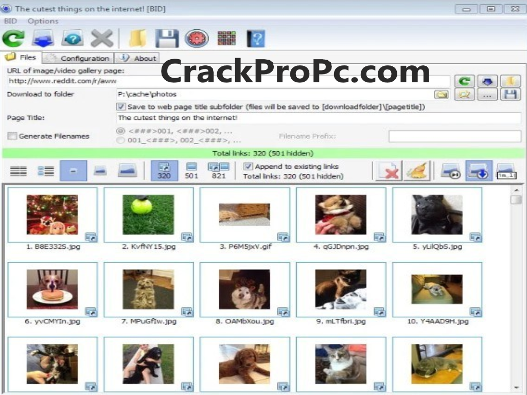 Bulk Image Downloader Crack Download