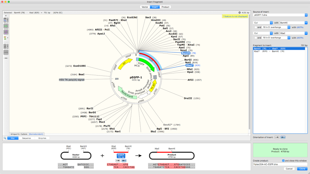 snapgene