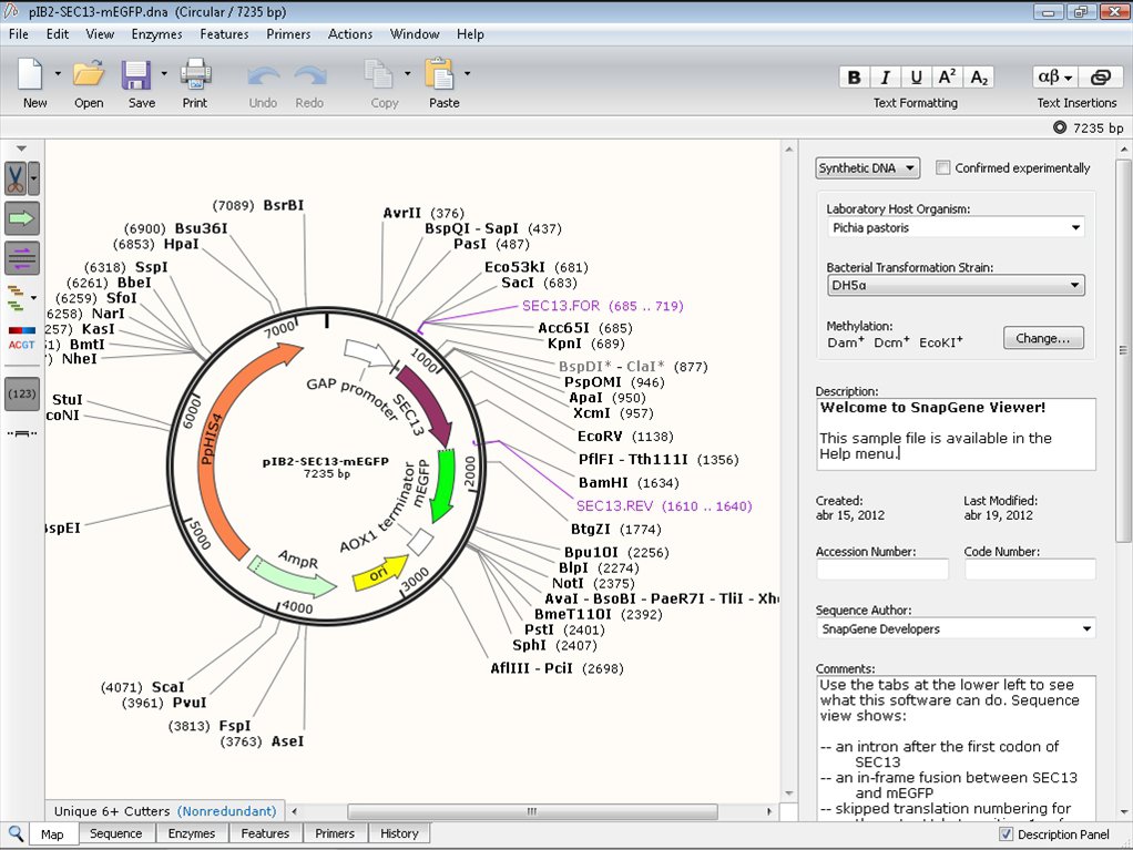 An Image of SnapGene Crack Keygen