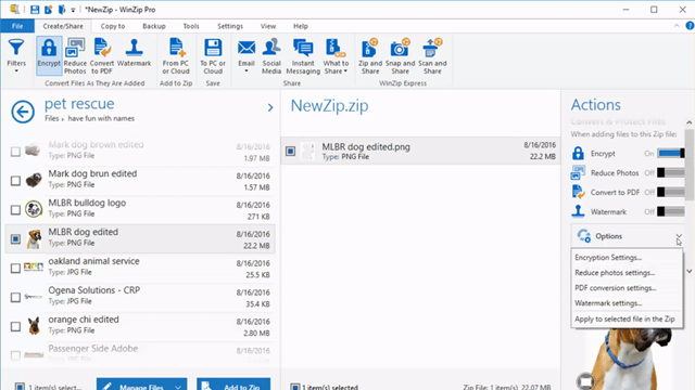 An Image of WinZip Pro Code Latest Version