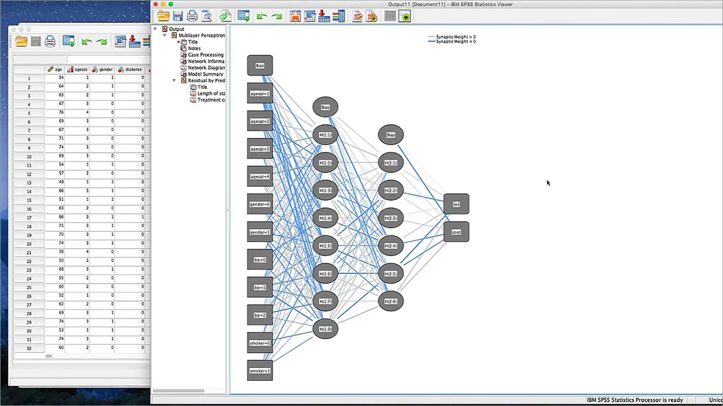 IBM SPSS Statistics Crack Free Download